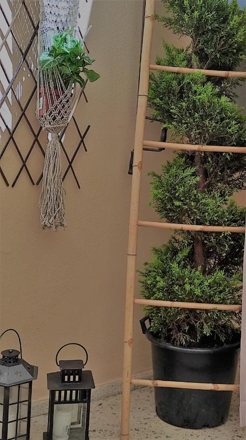 Acropolis Living Room アテネ エクステリア 写真